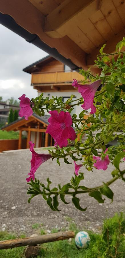 Villa Swiss Săcele Exterior foto